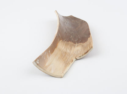 Brown mammoth bark