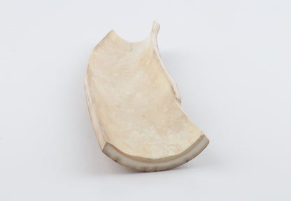 Beige-green mammoth bark