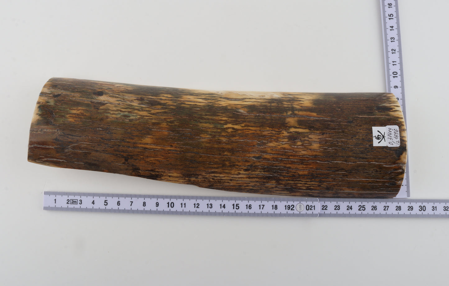 Green-brown mammoth bark