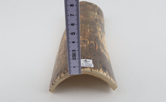 Green-brown mammoth bark