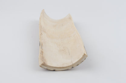 Green-brown mammoth bark