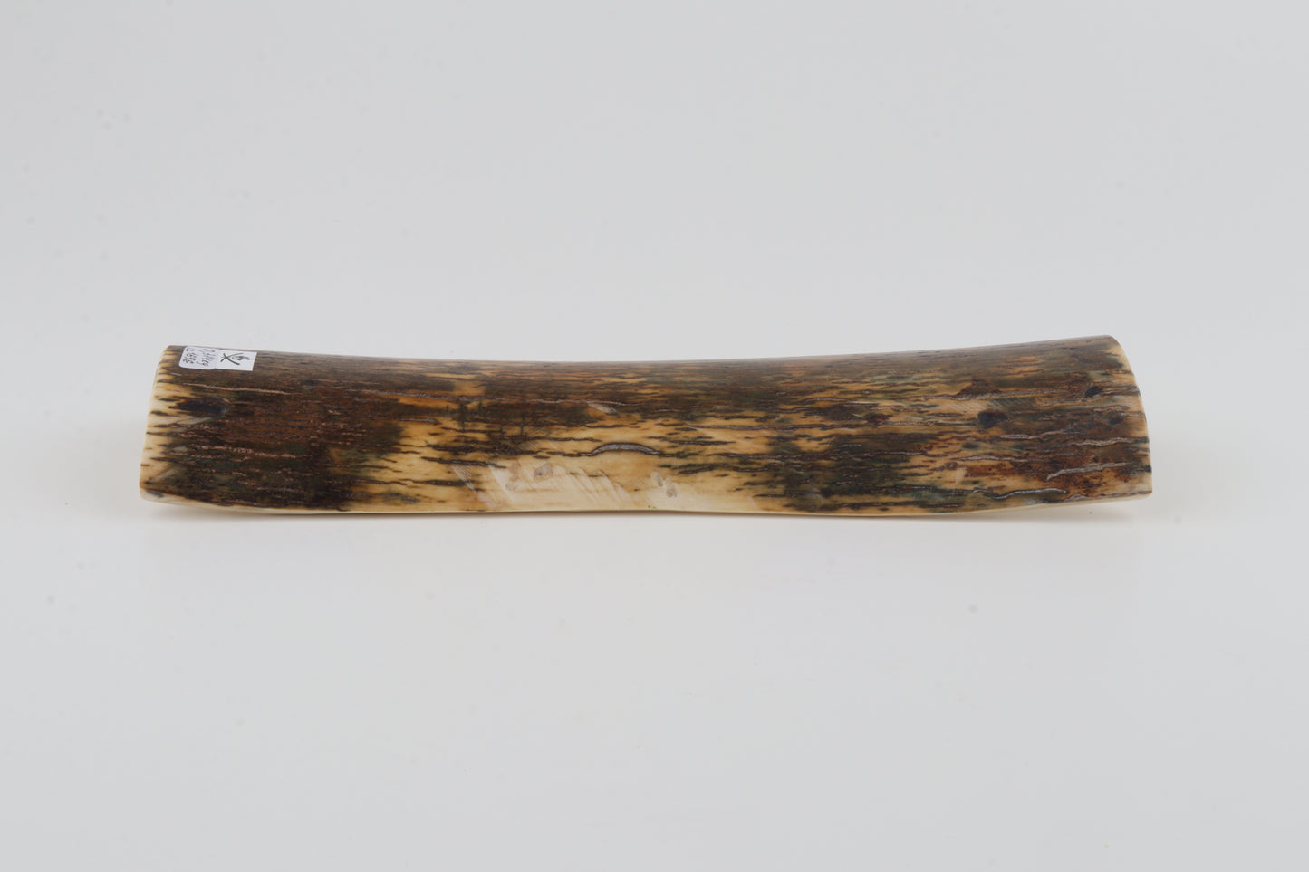 Green-brown mammoth bark