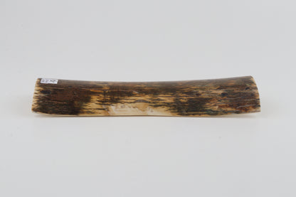 Green-brown mammoth bark