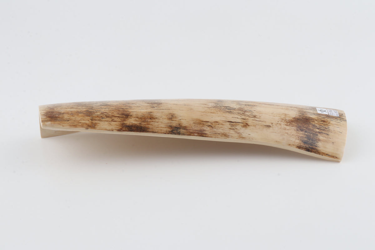 Cream mammoth bark