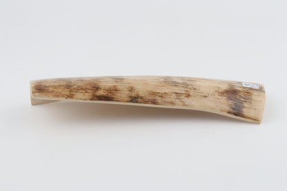 Cream mammoth bark
