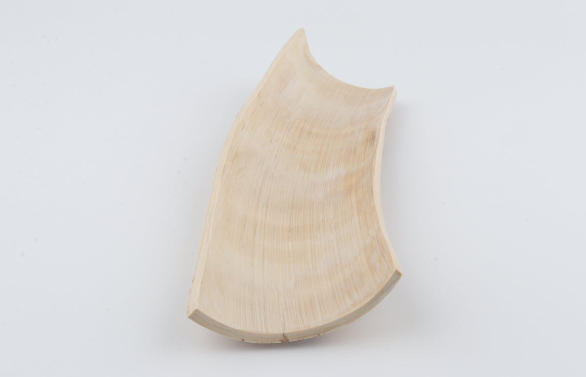 Cream mammoth bark
