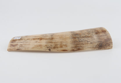 Cream mammoth bark