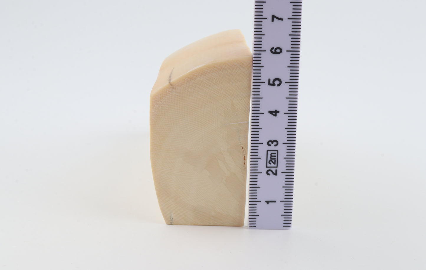 White mammoth ivory segment