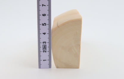White mammoth ivory segment