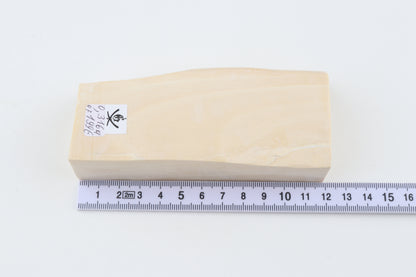 White mammoth ivory segment