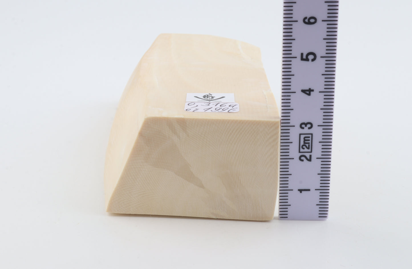 White mammoth ivory segment