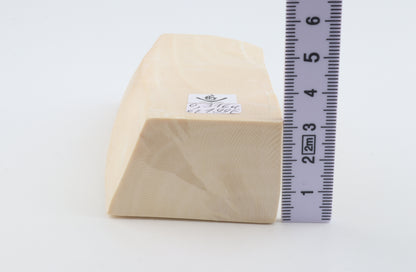 White mammoth ivory segment