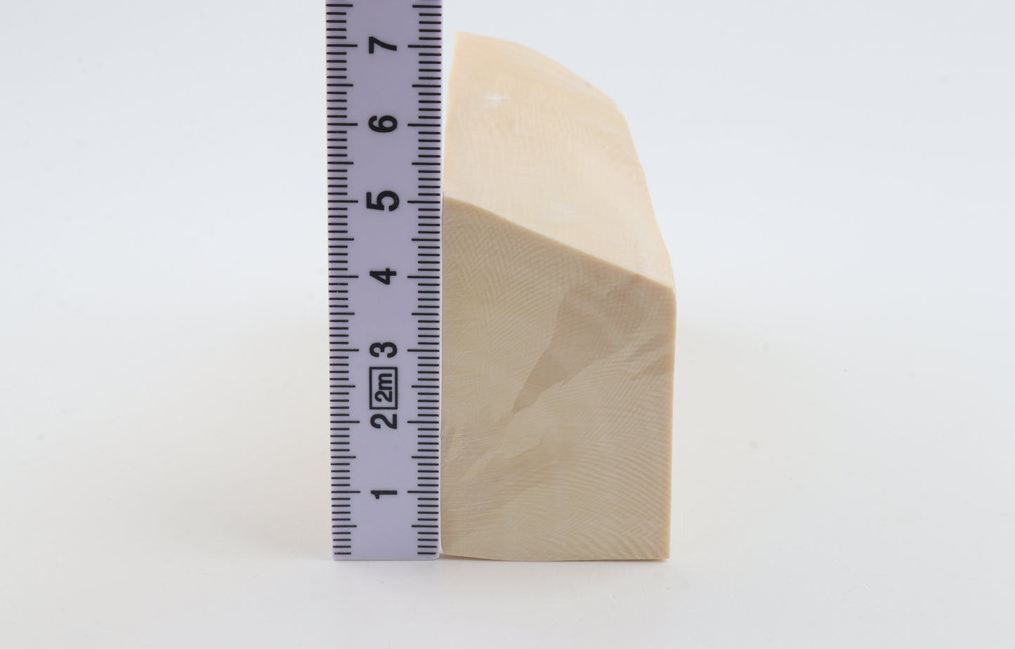 White mammoth ivory segment