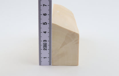 White mammoth ivory segment