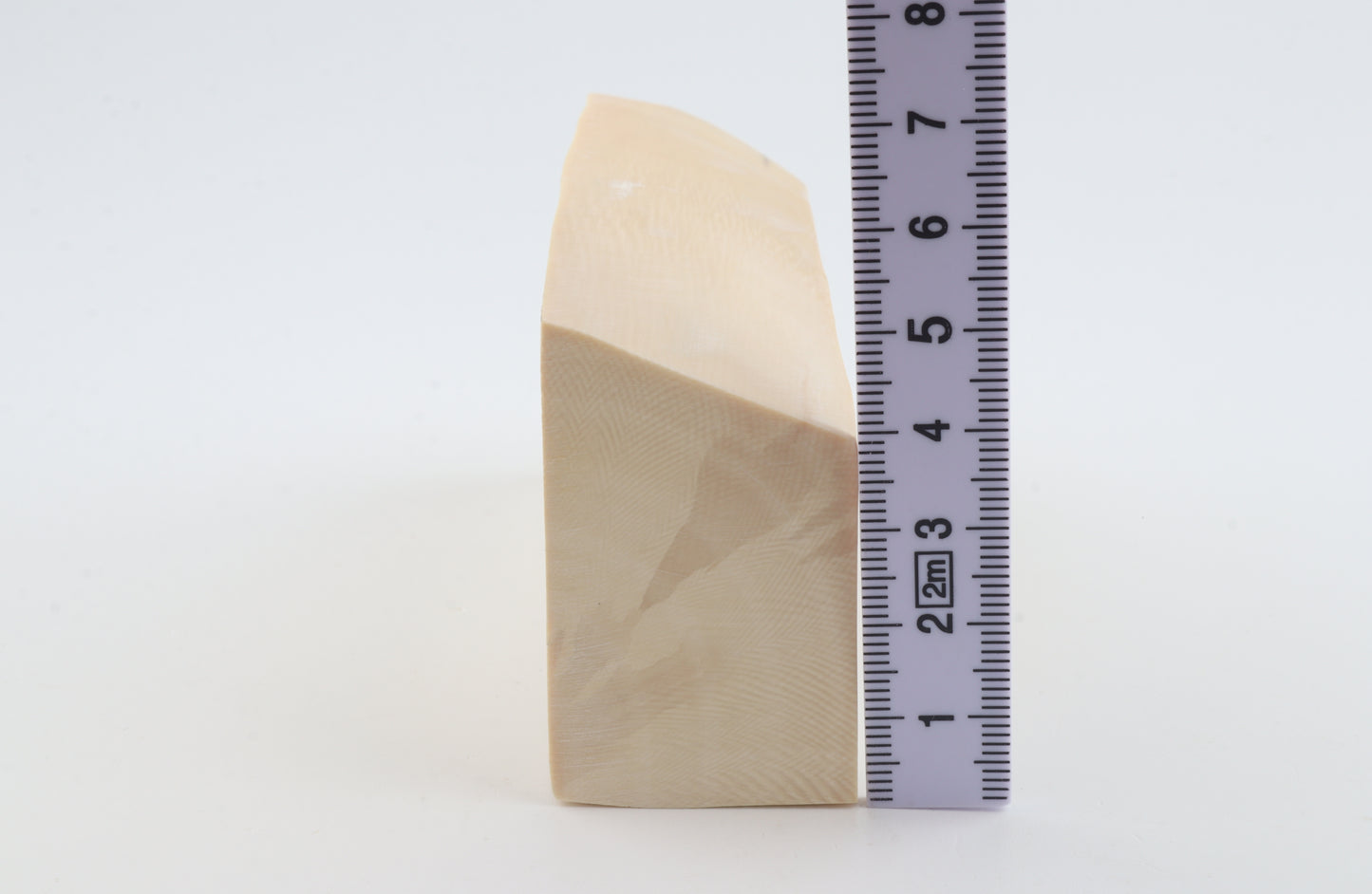White mammoth ivory segment