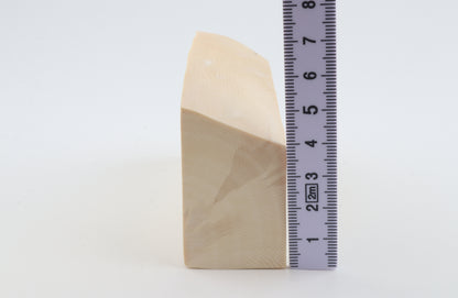 White mammoth ivory segment