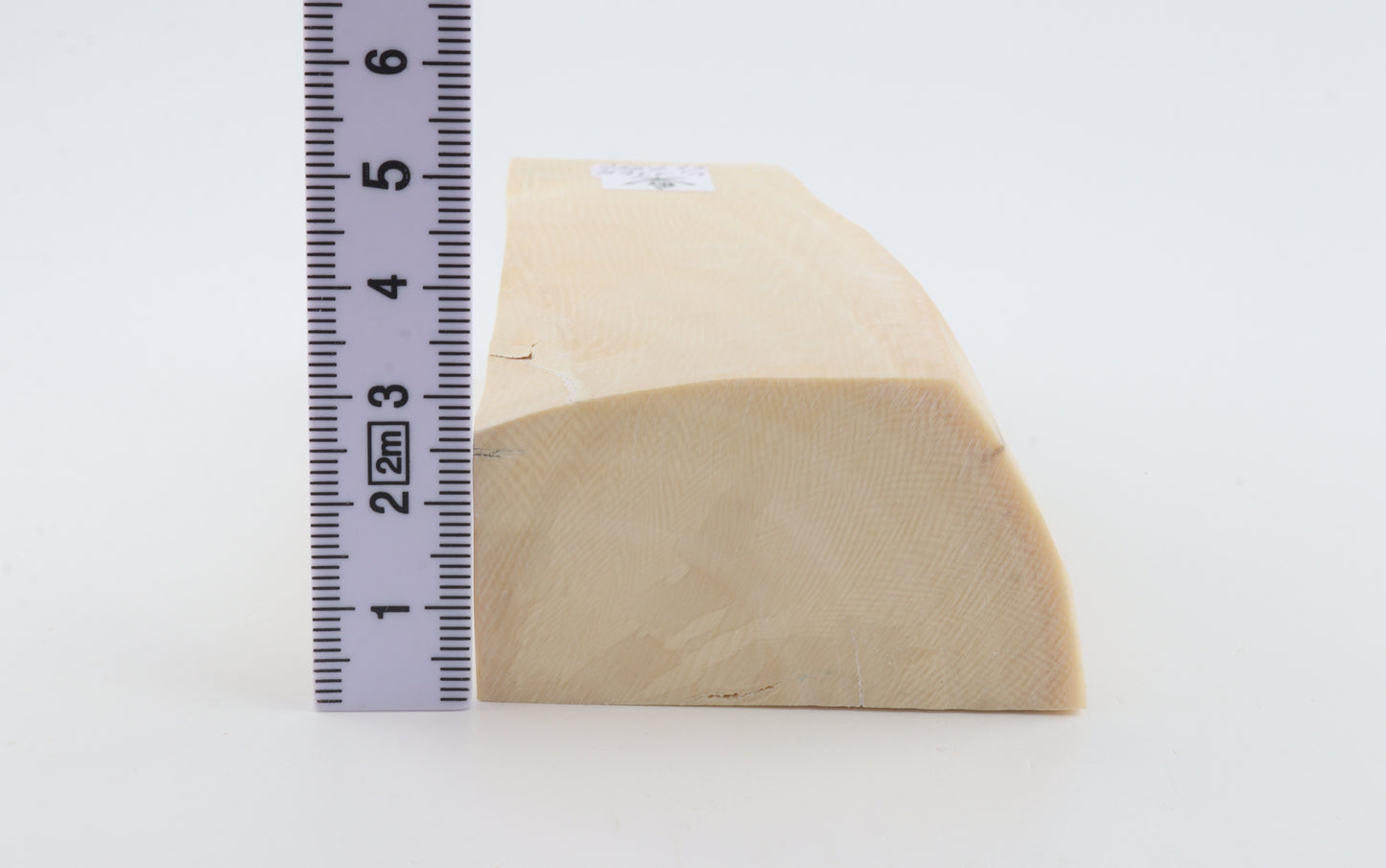 White mammoth ivory segment