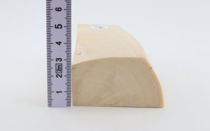 White mammoth ivory segment
