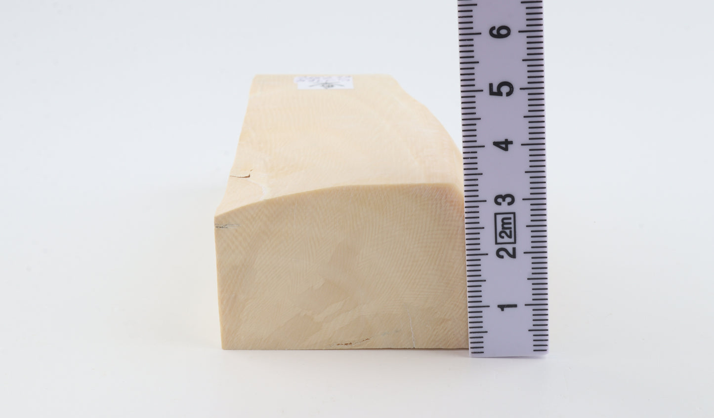 White mammoth ivory segment