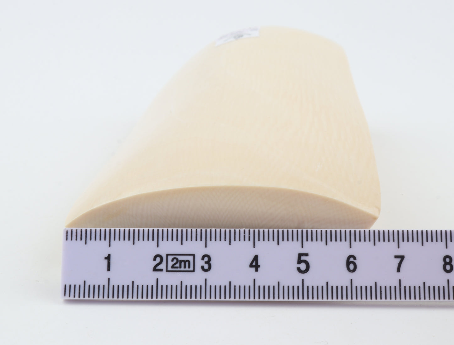 White mammoth ivory segment