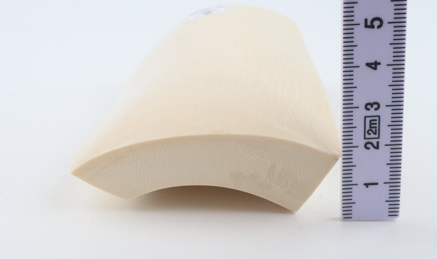 White mammoth ivory segment