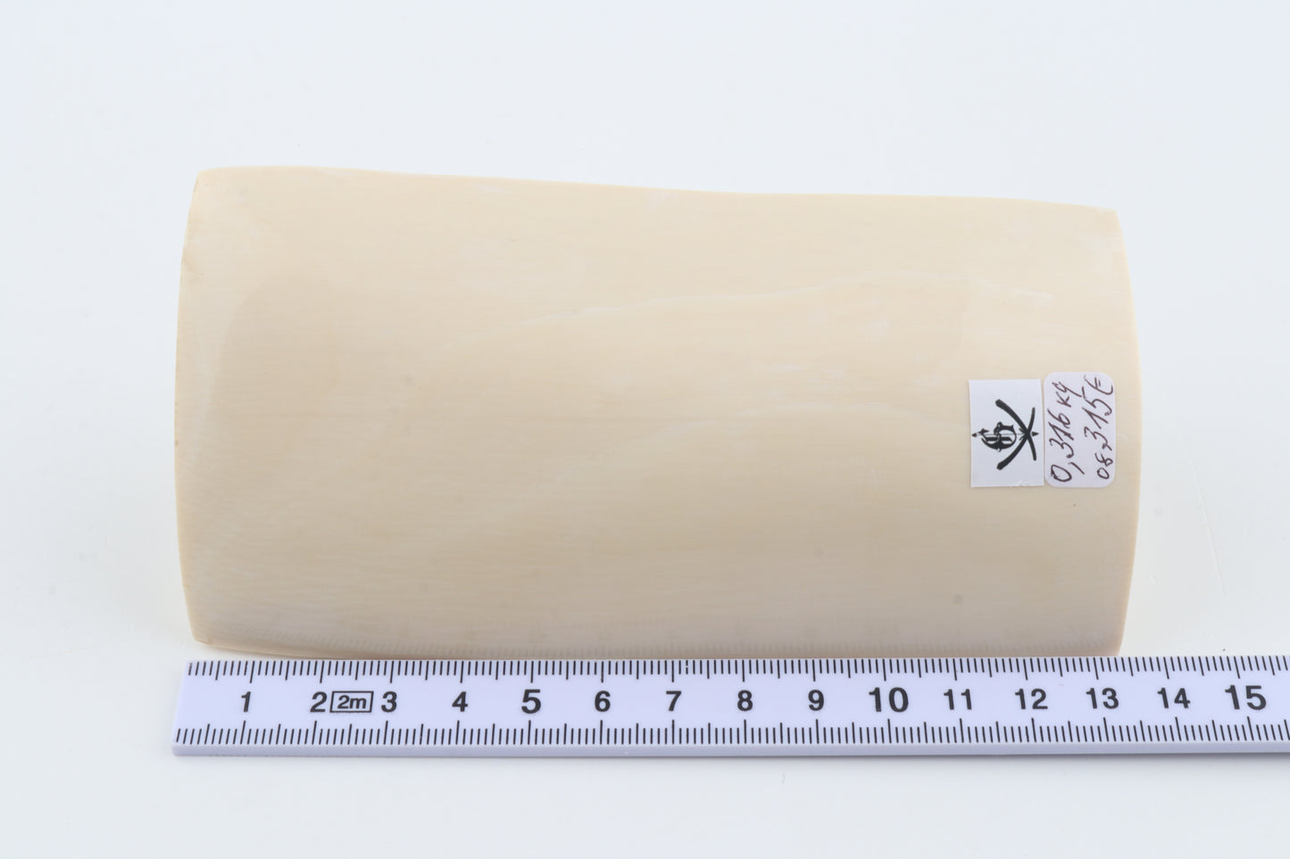 White mammoth ivory segment