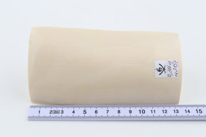 White mammoth ivory segment
