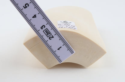 White mammoth ivory segment