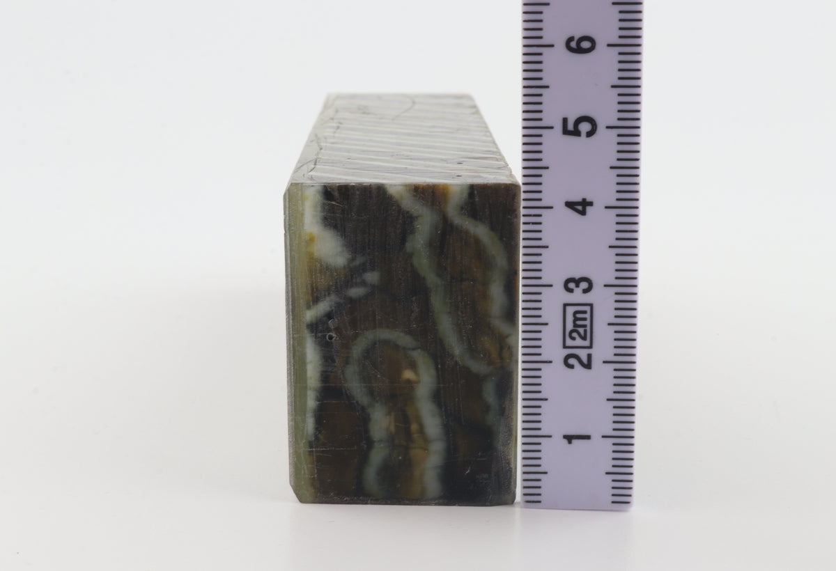 Stabilised mammoth molar block