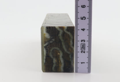 Stabilised mammoth molar block