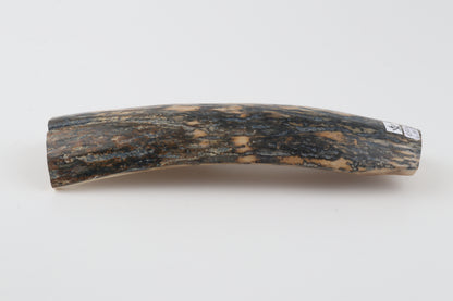 Blue-beige mammoth bark