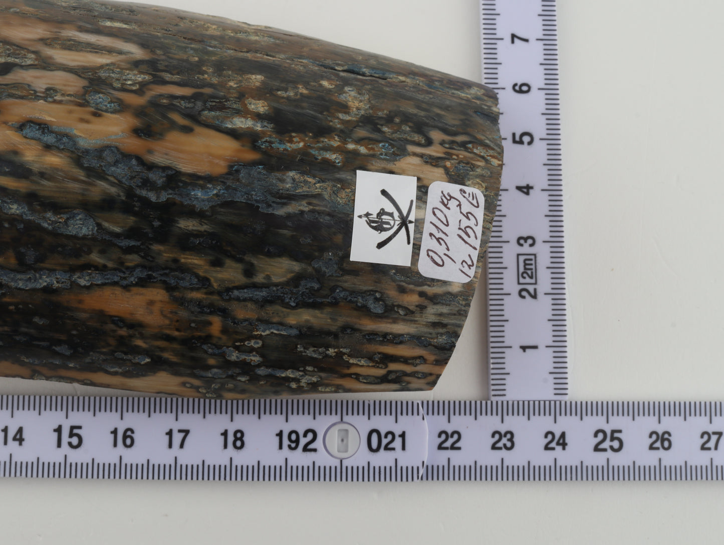 Blue-beige mammoth bark