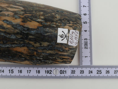 Blue-beige mammoth bark