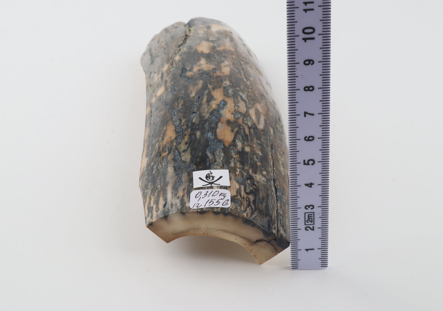 Blue-beige mammoth bark