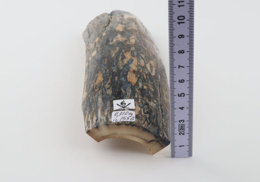 Blue-beige mammoth bark