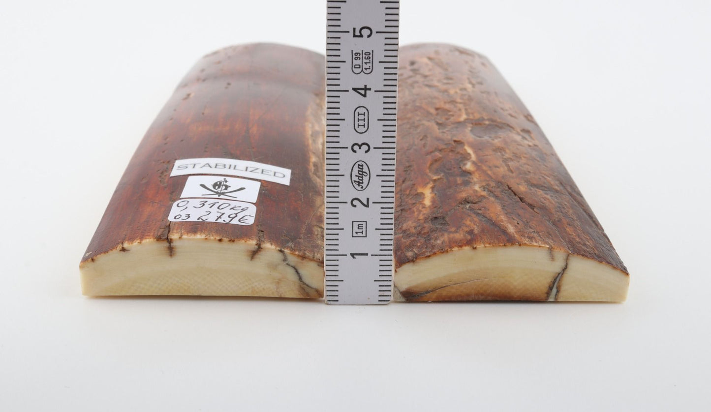 Stabilised mammoth bark scales