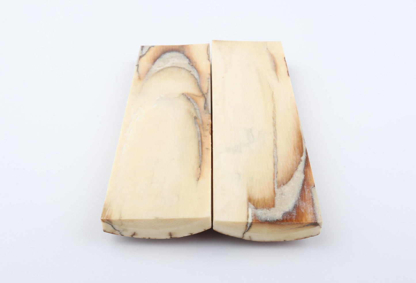 Stabilised mammoth bark scales