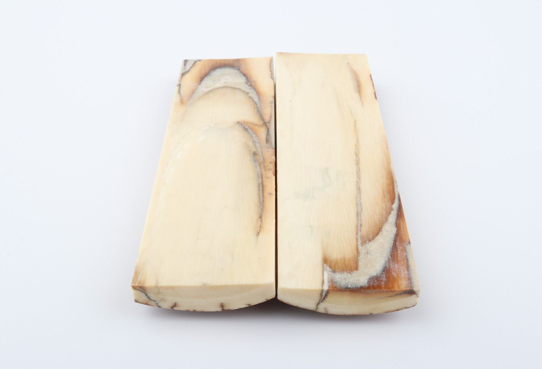 Stabilised mammoth bark scales