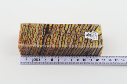 Stabilised mammoth molar block