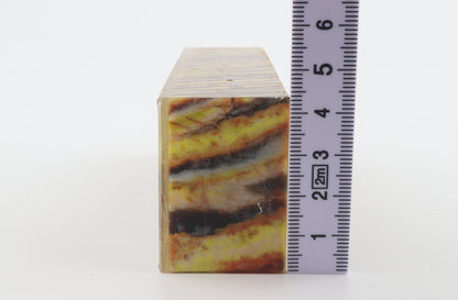 Stabilised mammoth molar block