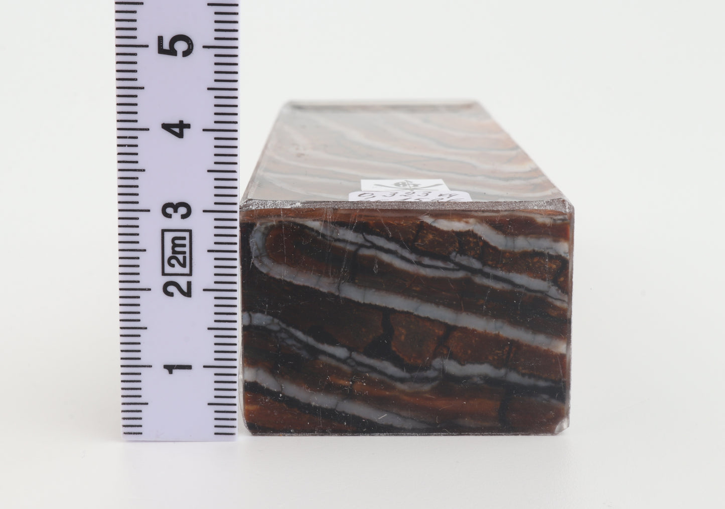 Stabilized mammoth molar block