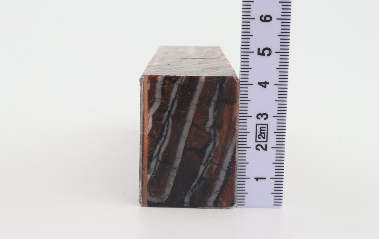 Stabilized mammoth molar block