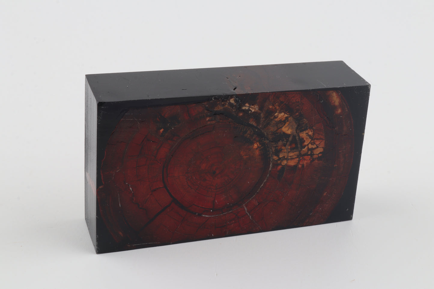 Stabilized mammoth ivory block