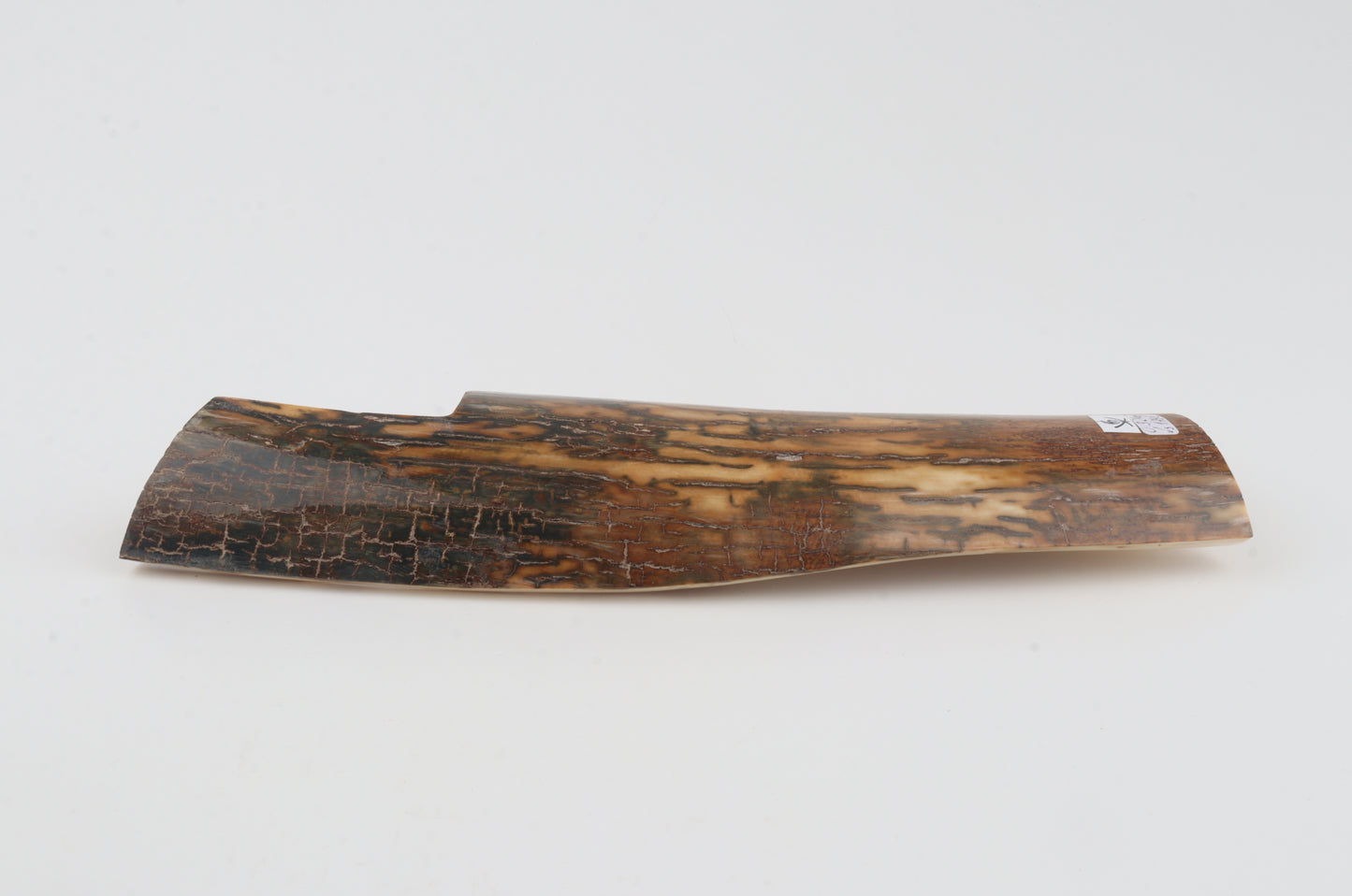 Brown-caramel mammoth bark
