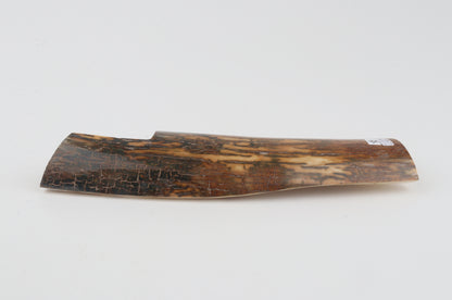 Brown-caramel mammoth bark