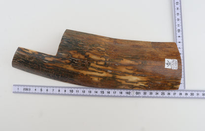 Brown-caramel mammoth bark