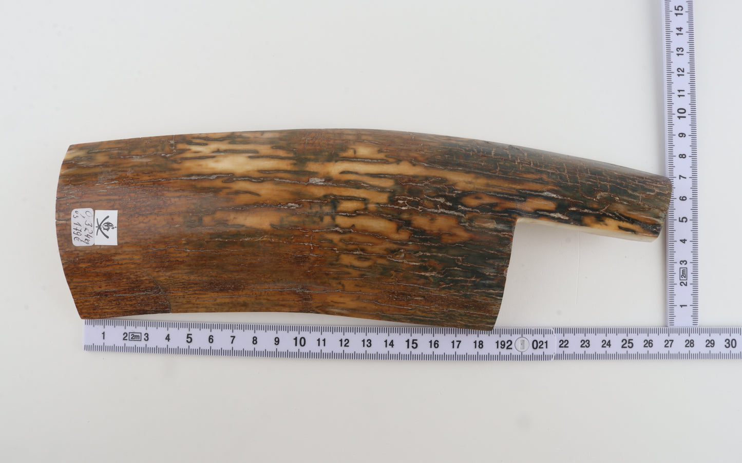 Brown-caramel mammoth bark