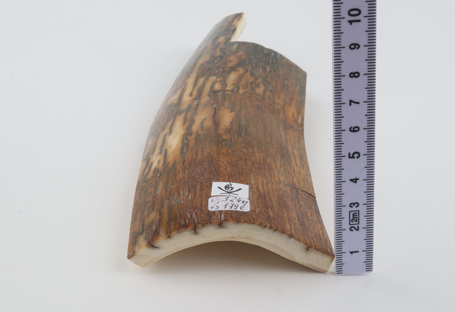 Brown-caramel mammoth bark