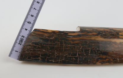 Brown-caramel mammoth bark