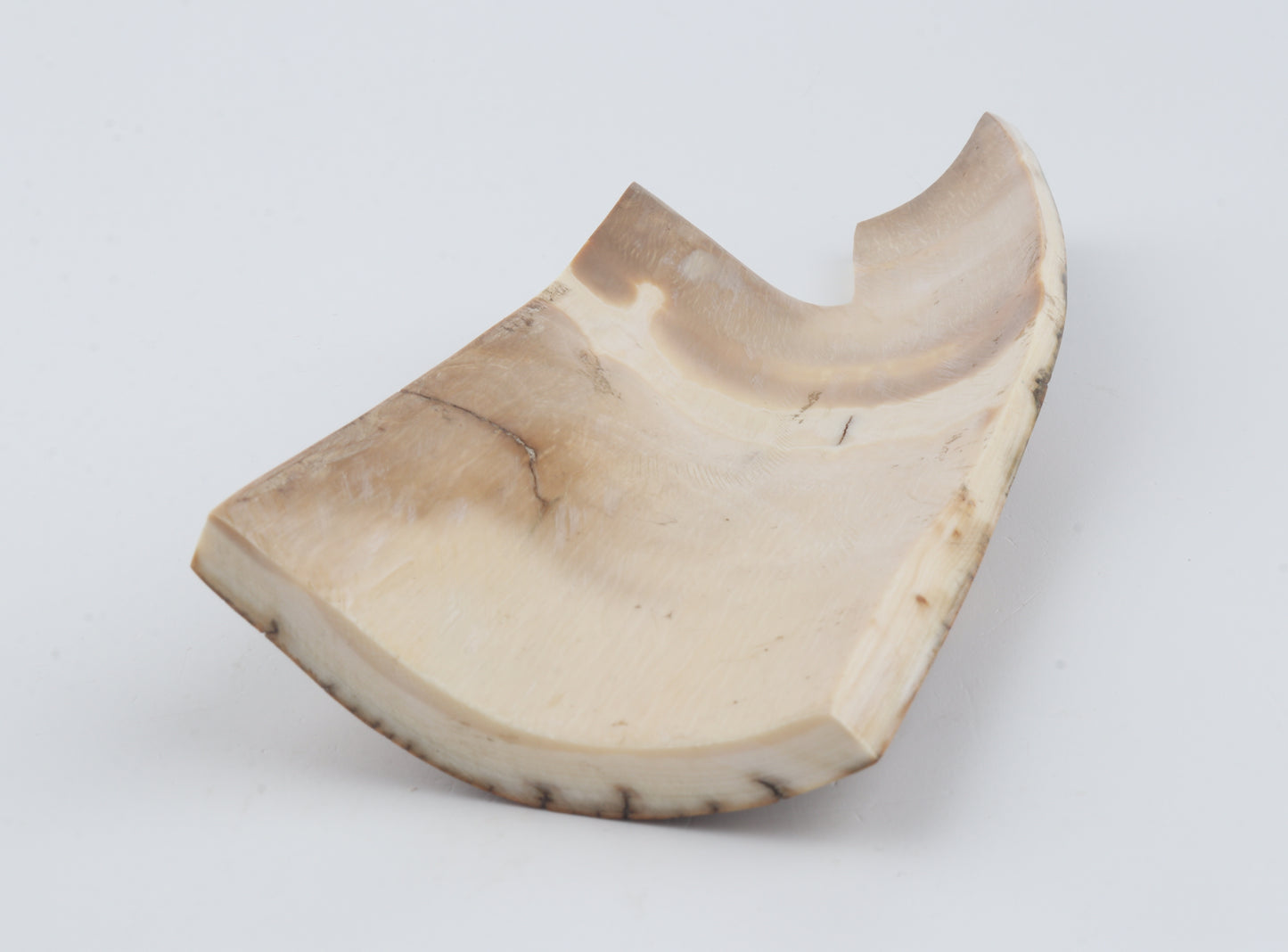 Brown-caramel mammoth bark